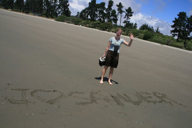 nz853.jpg