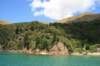 nz868_small.jpg