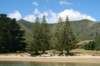 nz876_small.jpg