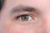 nz883_small.jpg