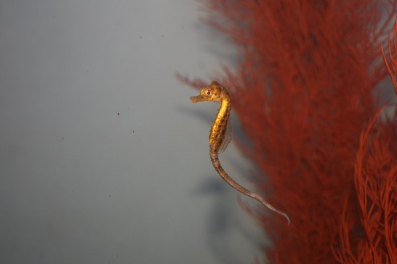 nz892.jpg