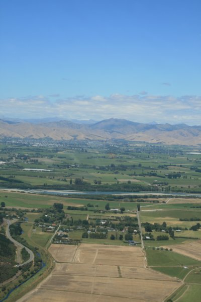 nz906.jpg