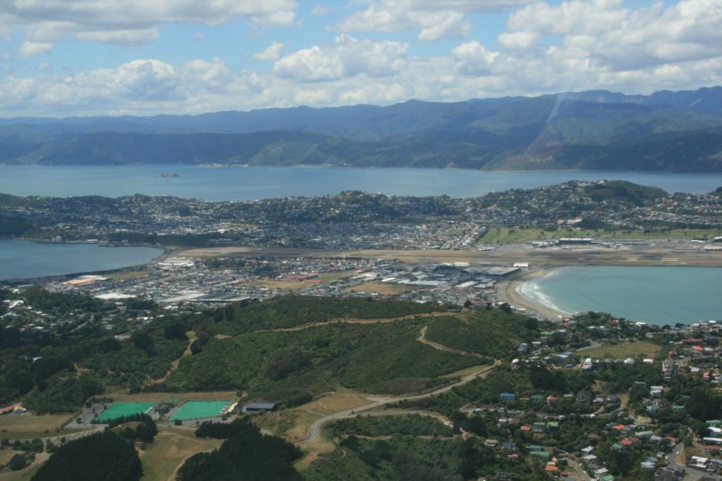 nz918.jpg