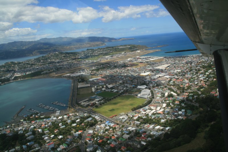 nz921.jpg