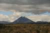 nz954_small.jpg