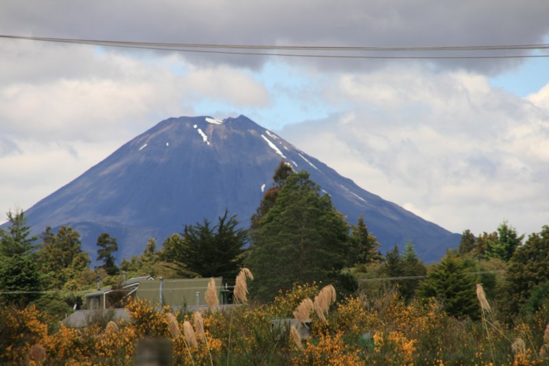 nz957.jpg