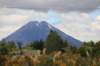 nz957_small.jpg