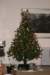 nz969_small.jpg