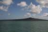 nz973_small.jpg