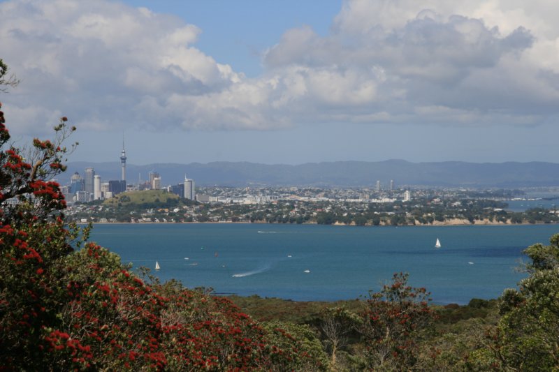 nz986.jpg