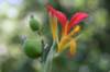 nzn063_small.jpg