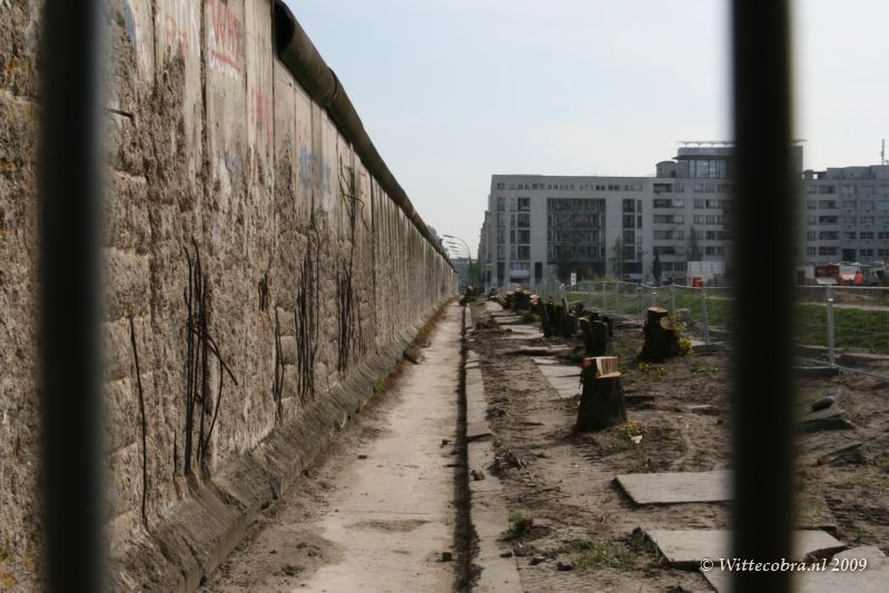 IMG_4144