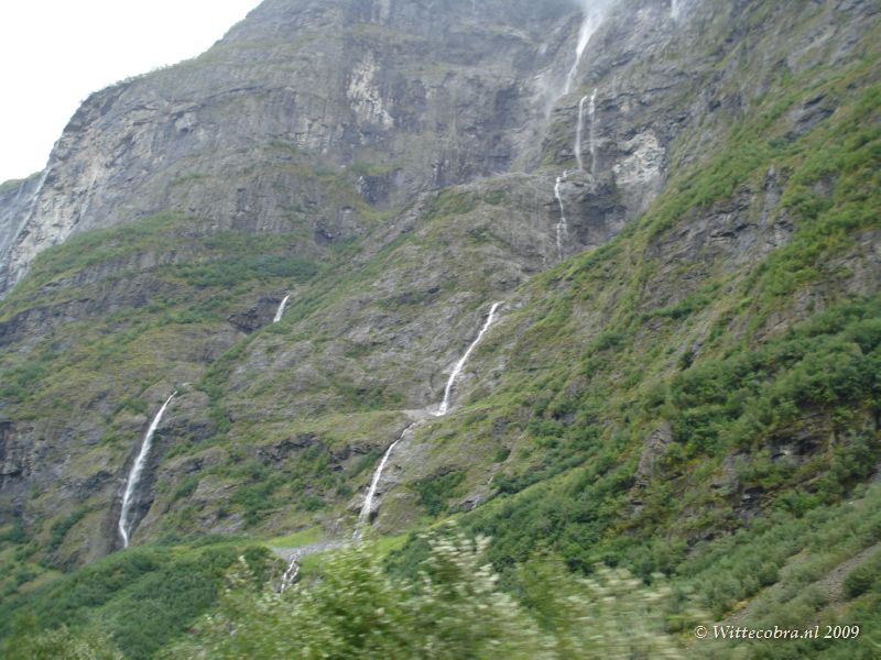 DSC06133