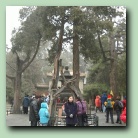 [Click to enlarge image]