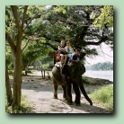 [Click to enlarge image]