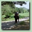 [Click to enlarge image]