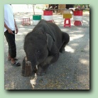 [Click to enlarge image]