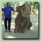 [Click to enlarge image]