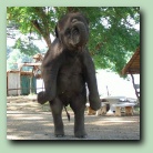 [Click to enlarge image]