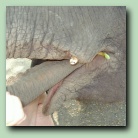 [Click to enlarge image]