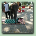 [Click to enlarge image]