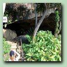 [Click to enlarge image]